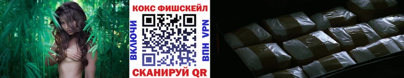 КОКАИН Fish Scale  купить   Зуевка 