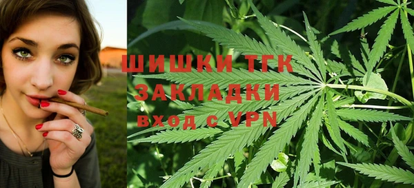 apvp Алзамай