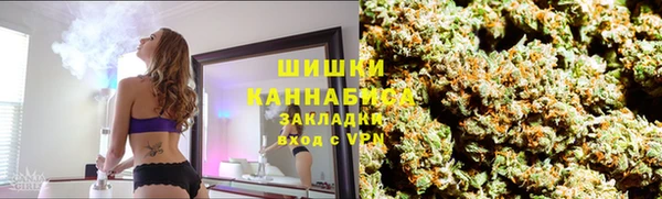 apvp Алзамай