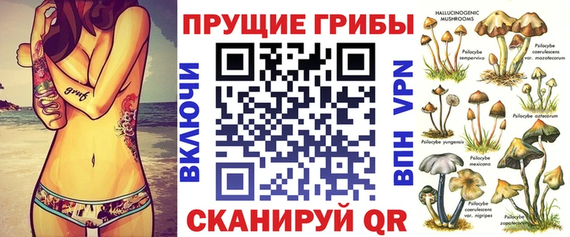 Галлюциногенные грибы мицелий  Зуевка 